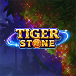 Tiger Stone