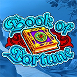 Book Of Fortune