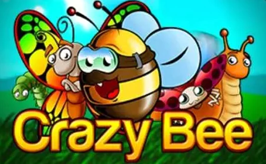 Crazy Bee