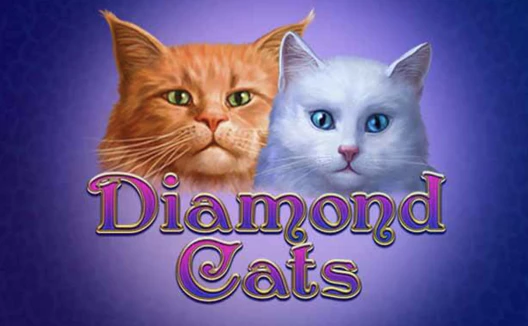 Diamond Cats