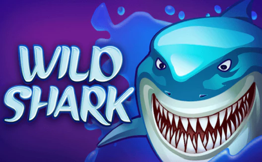 Wild Shark