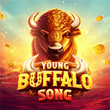 Young Buffalo Song