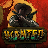Wanted Dead or a Wild