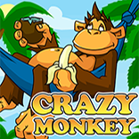 Crazy Monkey