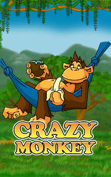 Crazy Monkey