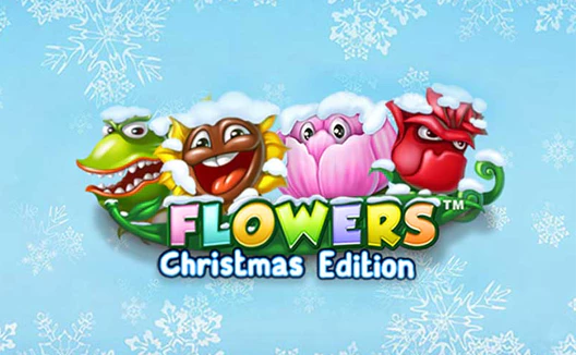 FlowersChristmas