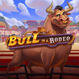 Bull in a Rodeo