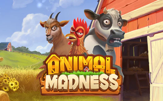 Animal Madness