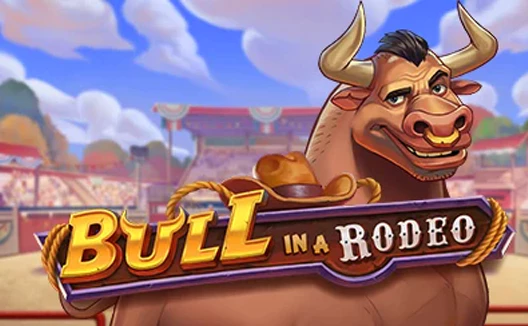 Bull in a Rodeo