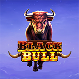 Black Bull