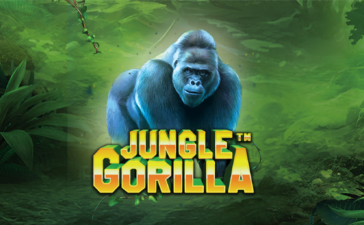 Jungle Gorilla