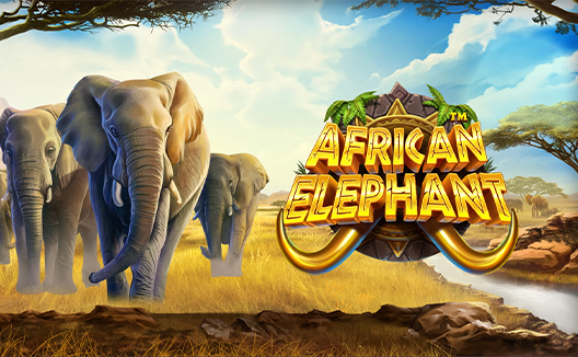 African Elephant