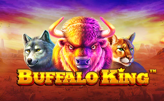 Buffalo King
